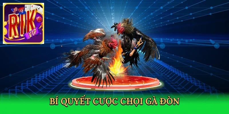 bi-quyet-cuoc-choi-ga-don-4