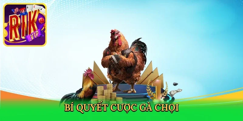 bi-quyet-cuoc-ga-choi-3
