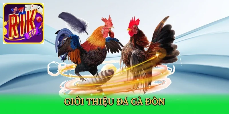 gioi-thieu-da-ga-don-2