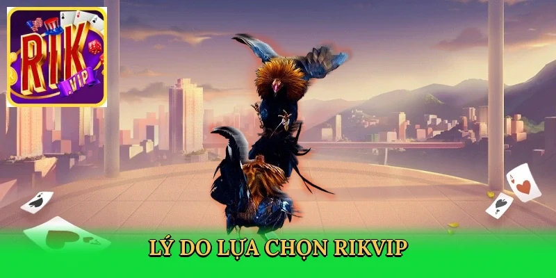 ly-do-lua-chon-rikvip-4
