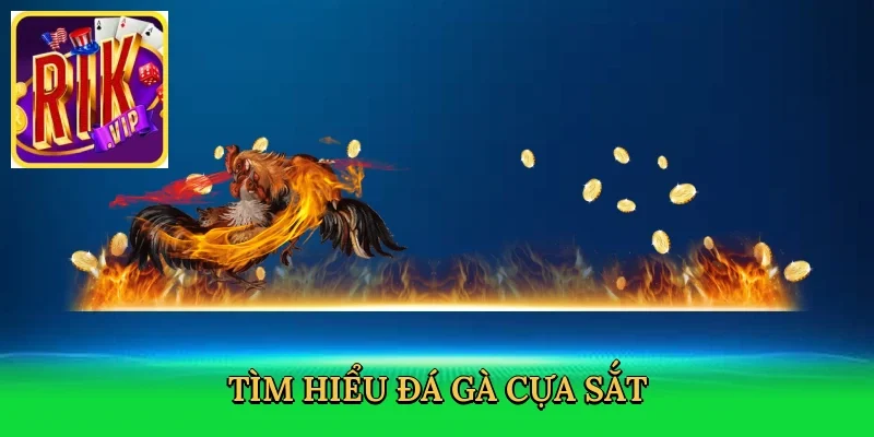 tim-hieu-da-ga-cua-sat-2