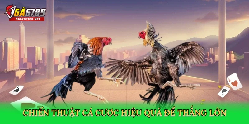 Chiến thuật cá cược hiệu quả để thắng lớn