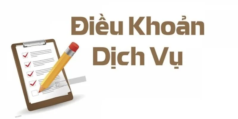 Những chính sách về điều khoản điều kiện bắt buộc