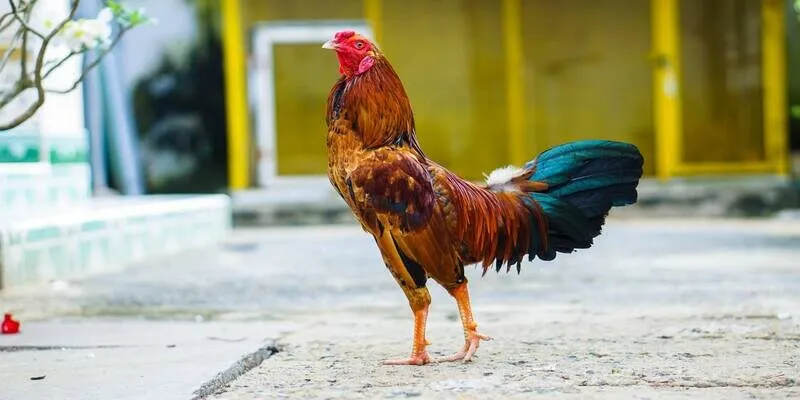 Khách luôn được giúp đỡ