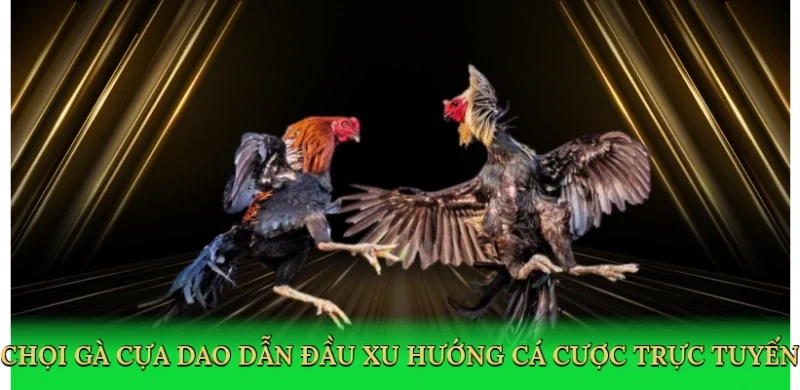 Chọi gà cựa dao dẫn đầu xu hướng cá cược trực tuyến
