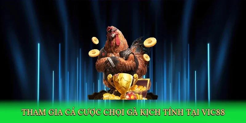 Tham gia cá cược chọi gà kịch tính tại Vic88